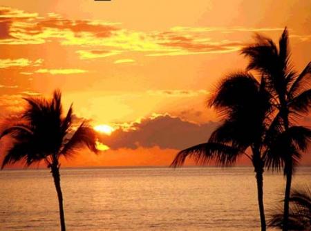 l'horizon:::::::::::::